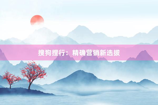 搜狗捏行：精确营销新选拔